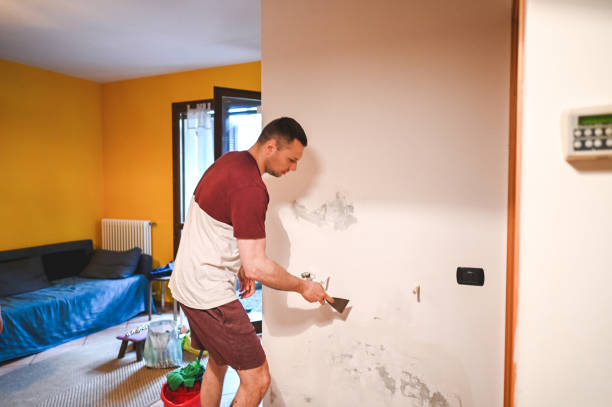 Shelburne Falls, MA Mold Remediation Company